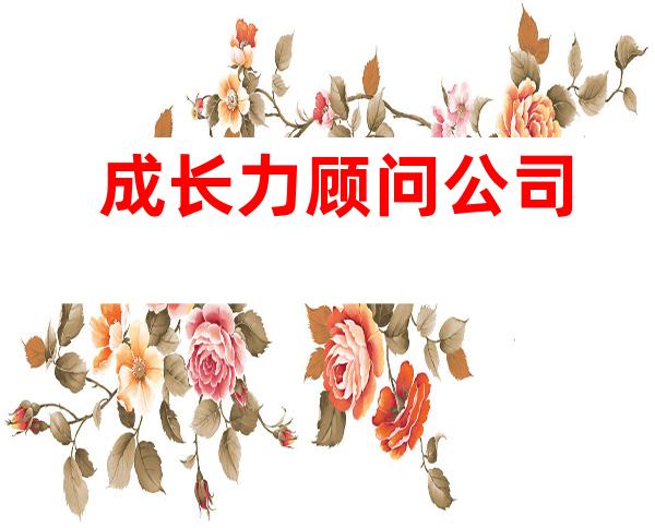 成长力顾问公司